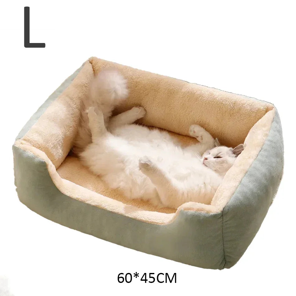 Bed for Cats Pet Products Cushions Kitten Goods Accessories Dog All Houses Supplies Things Accessory Habitats Basket House Beds - CarrieOnExpress