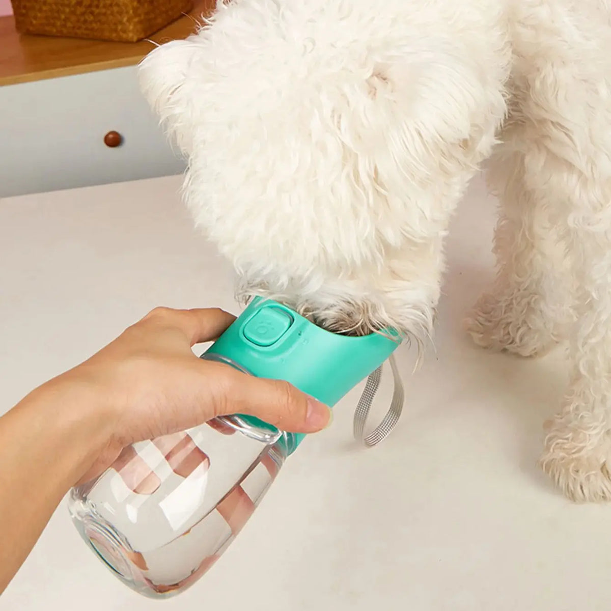 Pet Portable Big Dog Water Bottle for Small Large Dogs Outdoor Hiking Leakproof Puppy Drinking Bowls Golden Retriever Supplies - CarrieOnExpress