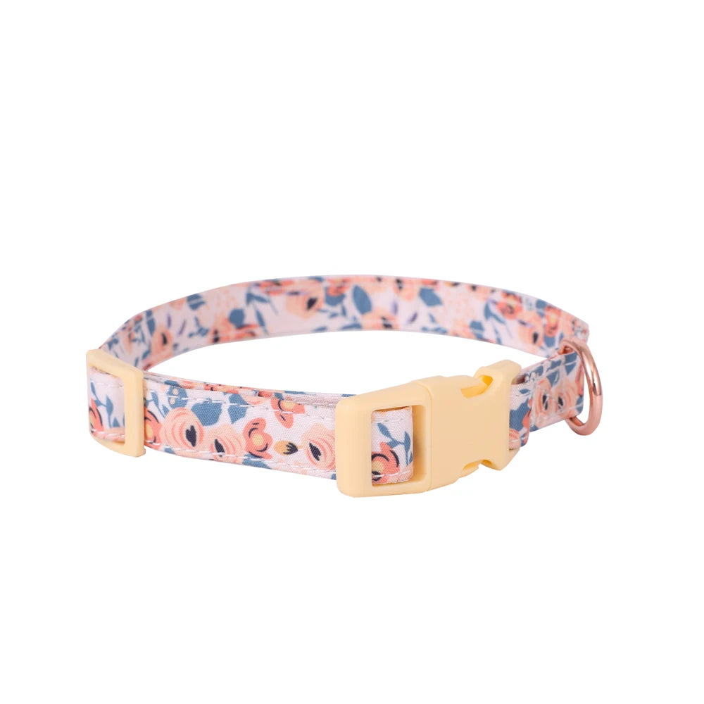 Small Dog Harness Leash Set Cute Traction Bracelet Medium Cat Collar Suit Soft Puppy Vest Harness Adjustable Pet Accessories - CarrieOnExpress