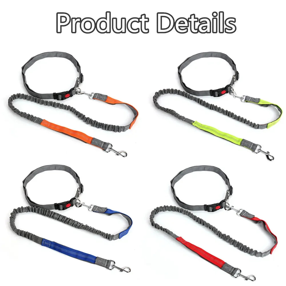 Retractable Dog Leash with Adjustable Waist Rope Hand Free Running Jogging Cycling Big Dogs Pet Elasticity Lead Pet Supplies - CarrieOnExpress