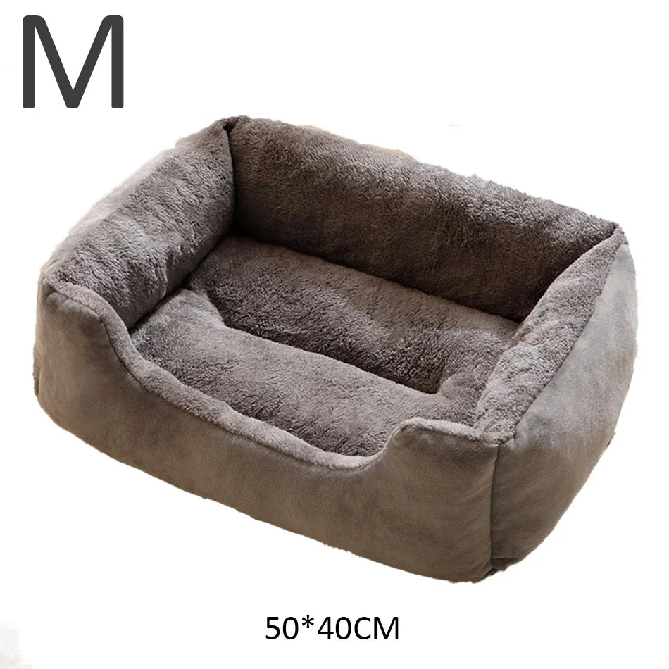 Bed for Cats Pet Products Cushions Kitten Goods Accessories Dog All Houses Supplies Things Accessory Habitats Basket House Beds - CarrieOnExpress