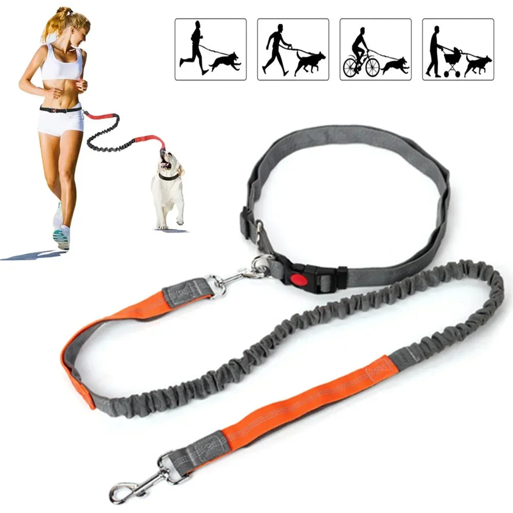 Retractable Dog Leash with Adjustable Waist Rope Hand Free Running Jogging Cycling Big Dogs Pet Elasticity Lead Pet Supplies - CarrieOnExpress