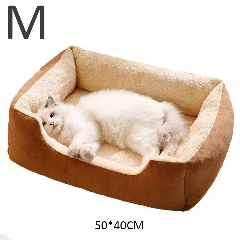 Bed for Cats Pet Products Cushions Kitten Goods Accessories Dog All Houses Supplies Things Accessory Habitats Basket House Beds - CarrieOnExpress