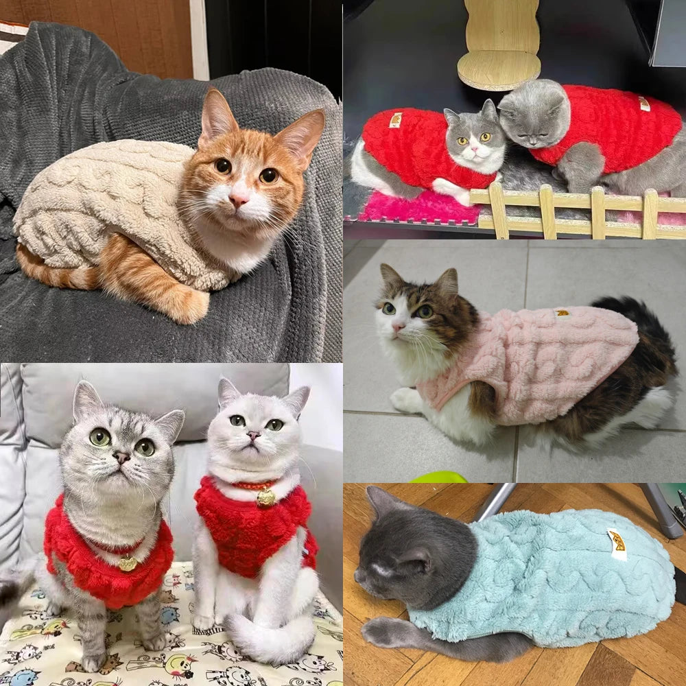 Cute Warm Cat Clothes Autumn Winter Fleece Sweater For Small Cats Dog Apparel Kitten Puppy Pullover Pet Sphynx Christmas Costume - CarrieOnExpress