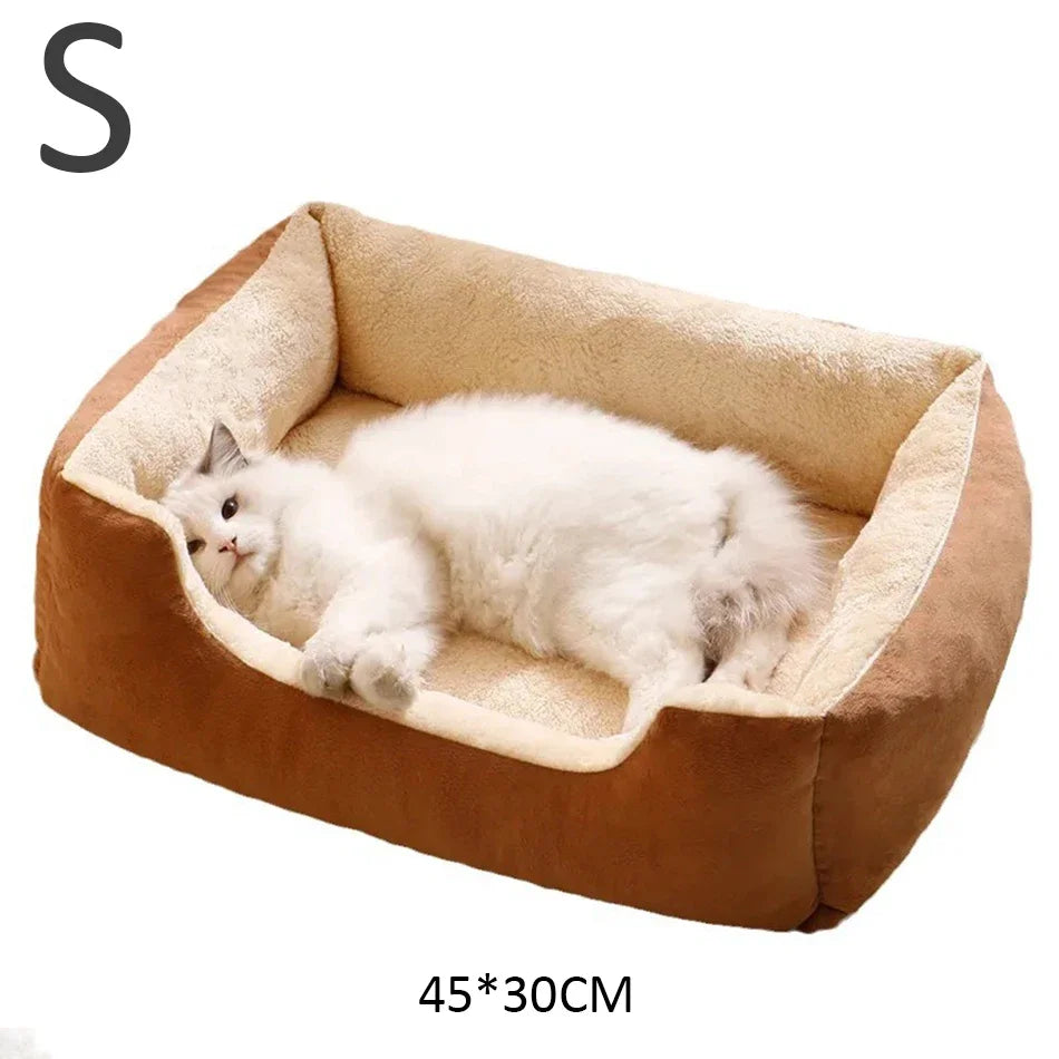 Bed for Cats Pet Products Cushions Kitten Goods Accessories Dog All Houses Supplies Things Accessory Habitats Basket House Beds - CarrieOnExpress