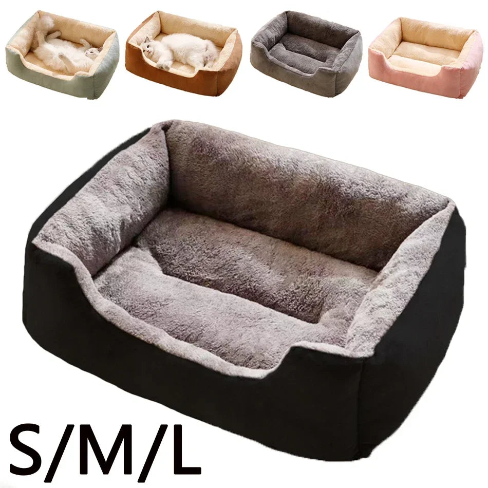 Bed for Cats Pet Products Cushions Kitten Goods Accessories Dog All Houses Supplies Things Accessory Habitats Basket House Beds - CarrieOnExpress
