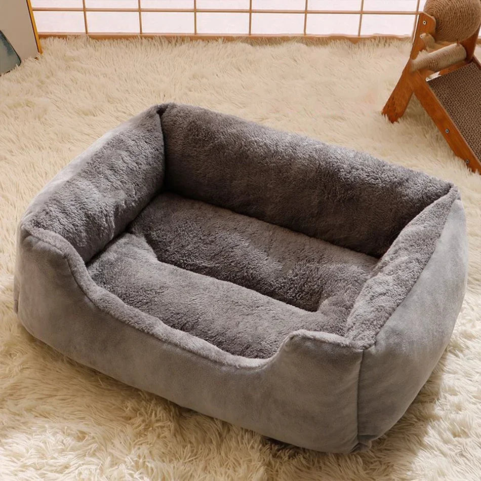 Bed for Cats Pet Products Cushions Kitten Goods Accessories Dog All Houses Supplies Things Accessory Habitats Basket House Beds - CarrieOnExpress