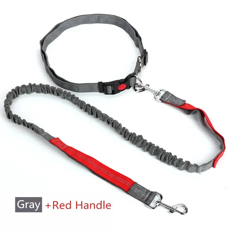 Retractable Dog Leash with Adjustable Waist Rope Hand Free Running Jogging Cycling Big Dogs Pet Elasticity Lead Pet Supplies - CarrieOnExpress