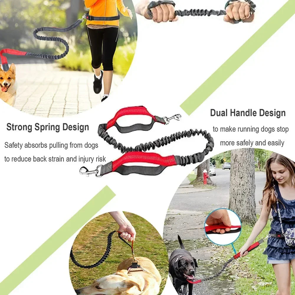 Retractable Dog Leash with Adjustable Waist Rope Hand Free Running Jogging Cycling Big Dogs Pet Elasticity Lead Pet Supplies - CarrieOnExpress