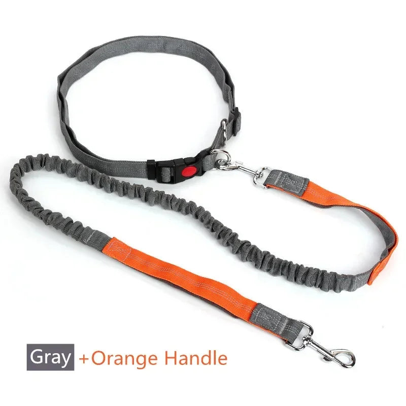 Retractable Dog Leash with Adjustable Waist Rope Hand Free Running Jogging Cycling Big Dogs Pet Elasticity Lead Pet Supplies - CarrieOnExpress
