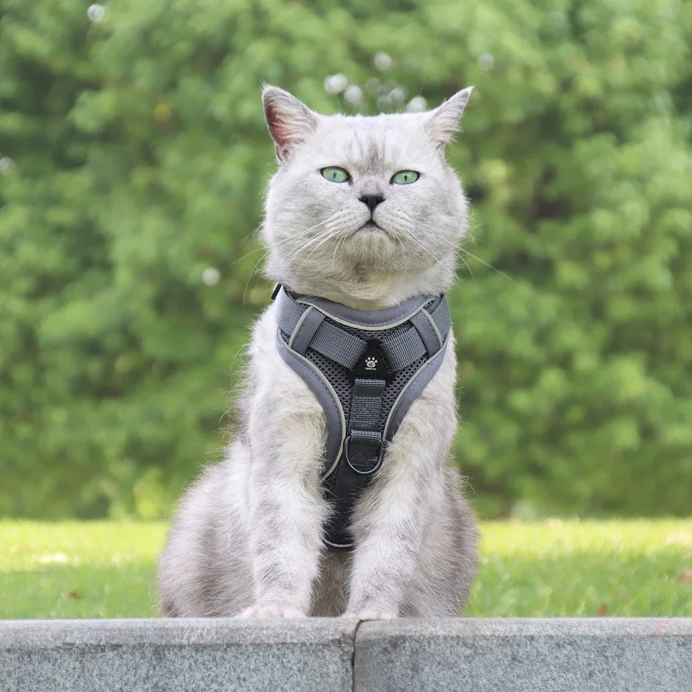 1PC Cats Harness Leash For Small Dogs Cat Outdoor Reflective Adjustable Kitten Traction Device Tactical Training Pet Supplies - CarrieOnExpress