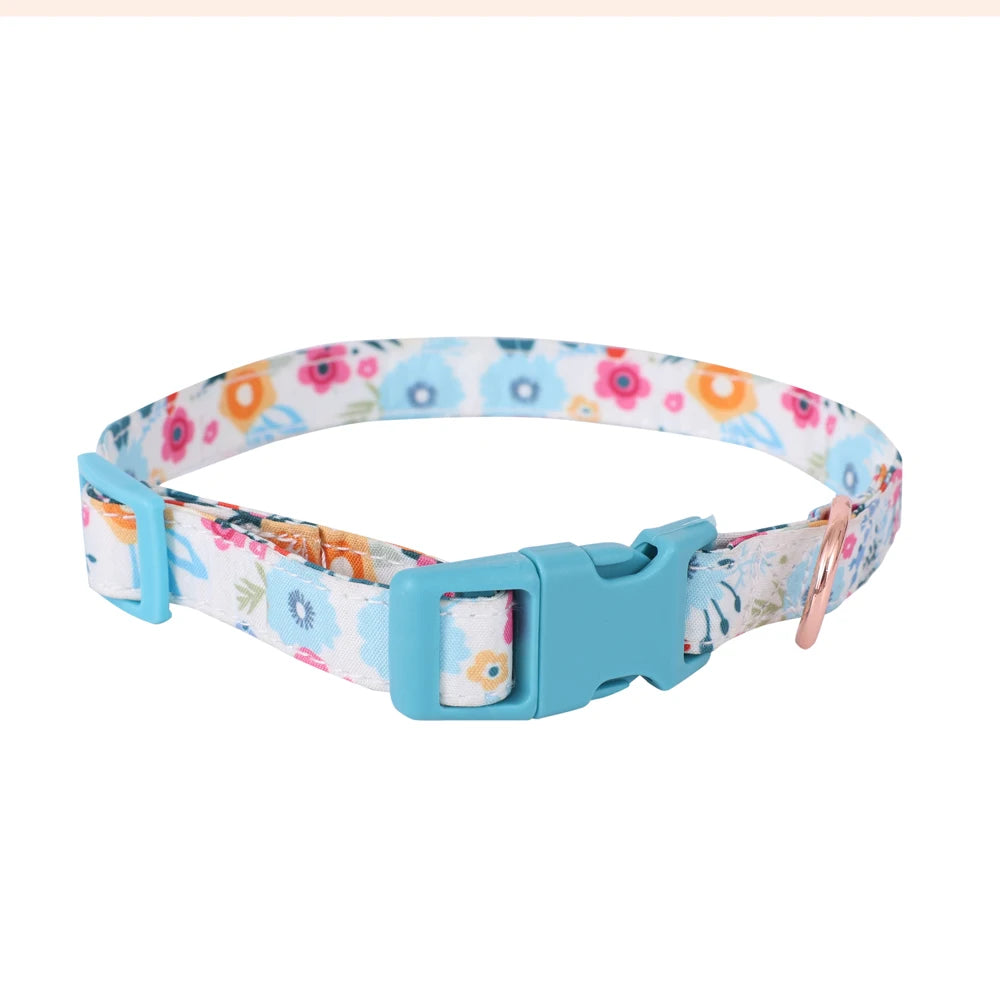 Small Dog Harness Leash Set Cute Traction Bracelet Medium Cat Collar Suit Soft Puppy Vest Harness Adjustable Pet Accessories - CarrieOnExpress