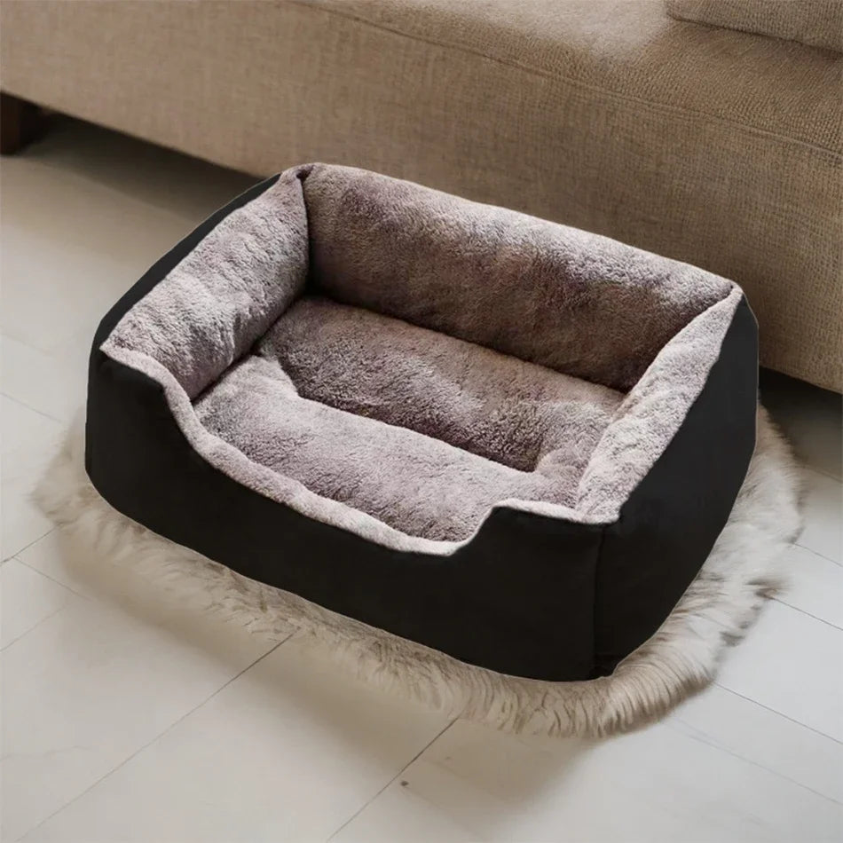Bed for Cats Pet Products Cushions Kitten Goods Accessories Dog All Houses Supplies Things Accessory Habitats Basket House Beds - CarrieOnExpress