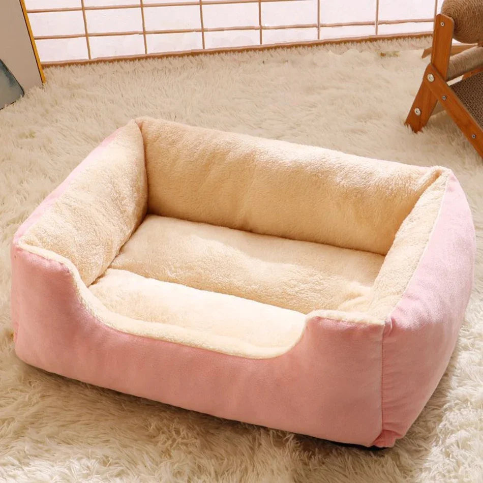 Bed for Cats Pet Products Cushions Kitten Goods Accessories Dog All Houses Supplies Things Accessory Habitats Basket House Beds - CarrieOnExpress
