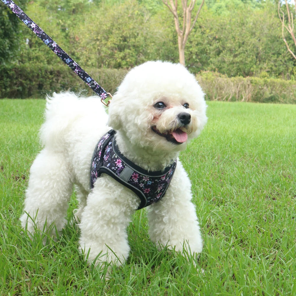 Small Dog Harness Leash Set Cute Traction Bracelet Medium Cat Collar Suit Soft Puppy Vest Harness Adjustable Pet Accessories - CarrieOnExpress