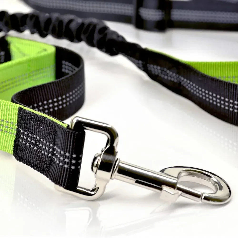 Retractable Dog Leash with Adjustable Waist Rope Hand Free Running Jogging Cycling Big Dogs Pet Elasticity Lead Pet Supplies - CarrieOnExpress