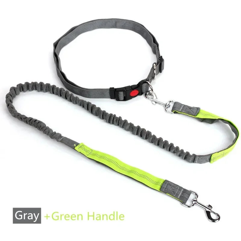 Retractable Dog Leash with Adjustable Waist Rope Hand Free Running Jogging Cycling Big Dogs Pet Elasticity Lead Pet Supplies - CarrieOnExpress