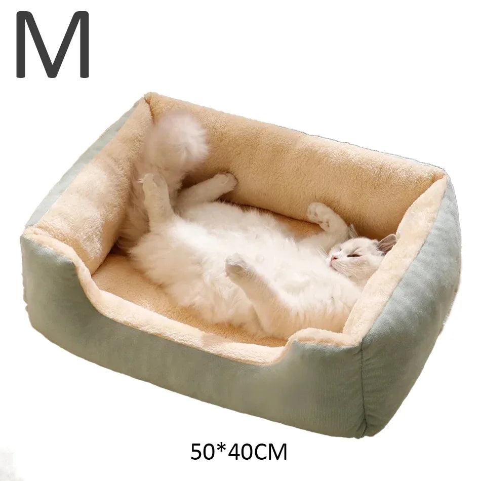 Bed for Cats Pet Products Cushions Kitten Goods Accessories Dog All Houses Supplies Things Accessory Habitats Basket House Beds - CarrieOnExpress