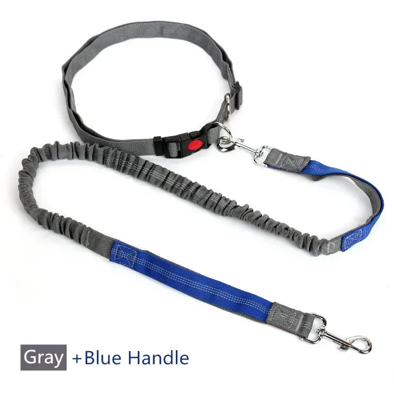 Retractable Dog Leash with Adjustable Waist Rope Hand Free Running Jogging Cycling Big Dogs Pet Elasticity Lead Pet Supplies - CarrieOnExpress