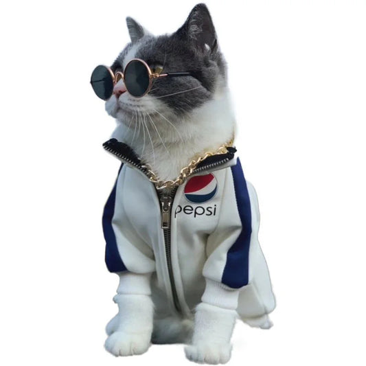Auto-Rebound Hanging Cat Toy, Interactive Self-Play Door Toy for Cats and Kittens with 3 Catnip Mice - CarrieOnExpress