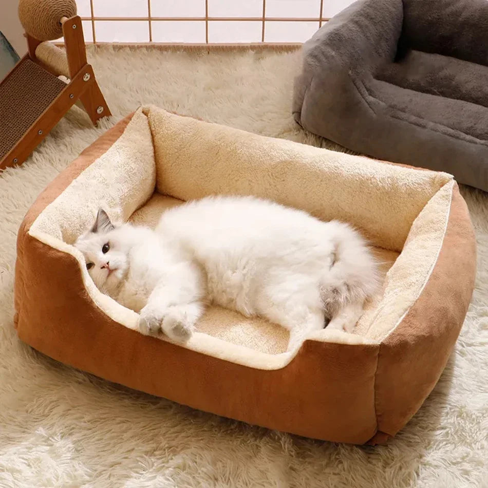 Bed for Cats Pet Products Cushions Kitten Goods Accessories Dog All Houses Supplies Things Accessory Habitats Basket House Beds - CarrieOnExpress
