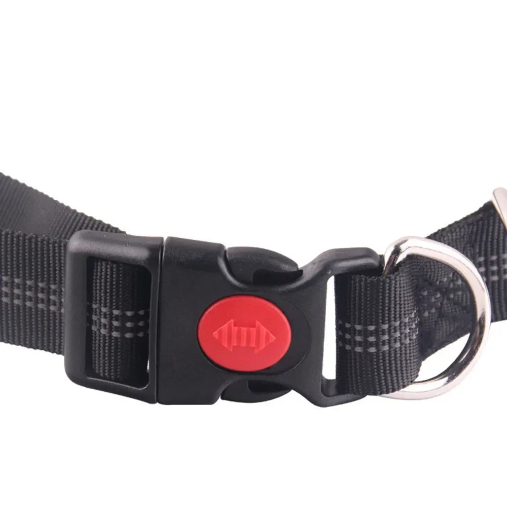 Retractable Dog Leash with Adjustable Waist Rope Hand Free Running Jogging Cycling Big Dogs Pet Elasticity Lead Pet Supplies - CarrieOnExpress