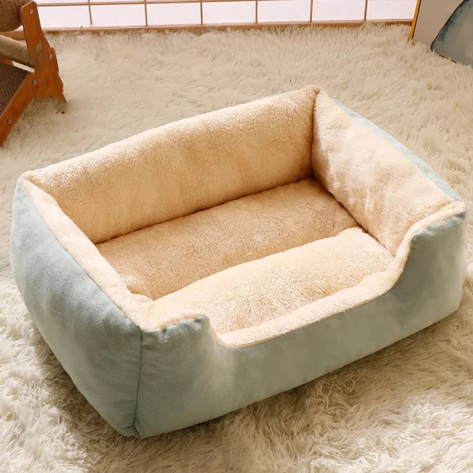 Bed for Cats Pet Products Cushions Kitten Goods Accessories Dog All Houses Supplies Things Accessory Habitats Basket House Beds - CarrieOnExpress