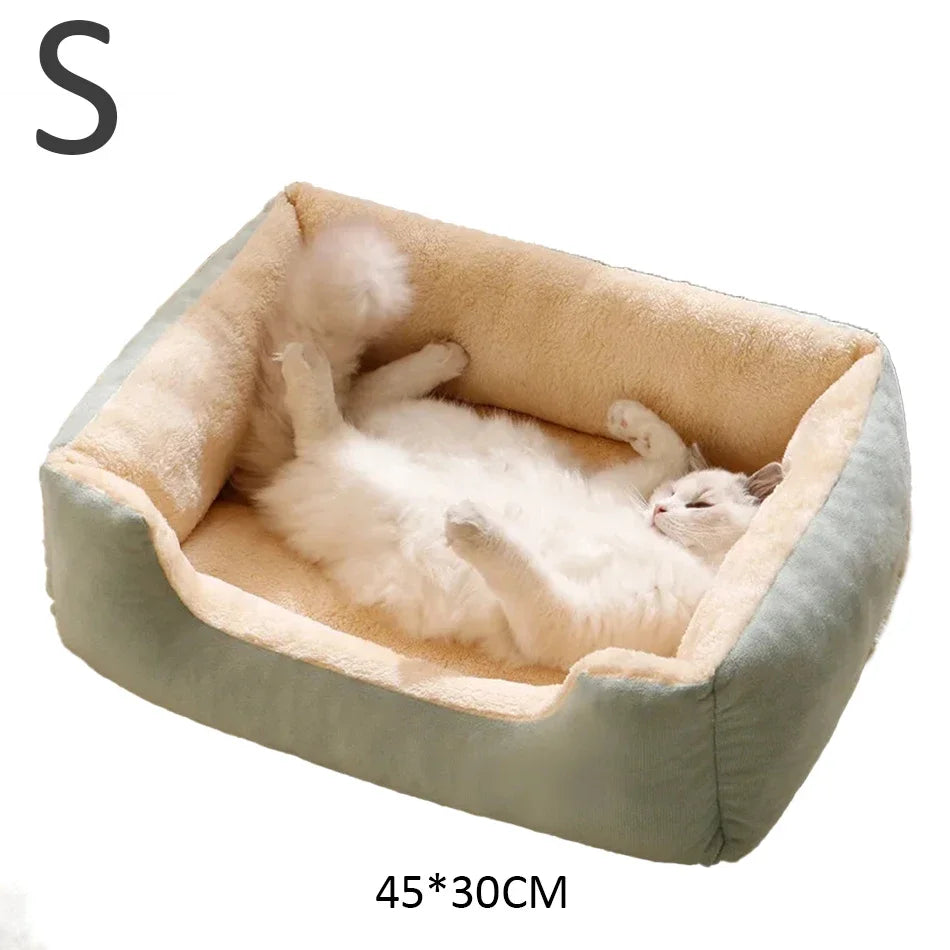 Bed for Cats Pet Products Cushions Kitten Goods Accessories Dog All Houses Supplies Things Accessory Habitats Basket House Beds - CarrieOnExpress